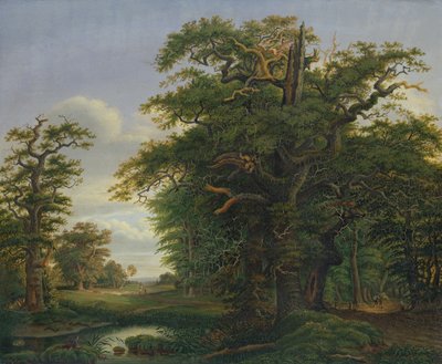Madeira de Carvalho, 1847 de David Christopher Mettlerkamp