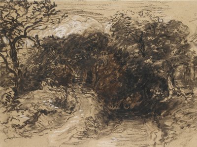 Uma pista oca perto de Harborne, Derbyshire (giz preto com toques de branco e alguma lavagem marrom) de David Cox