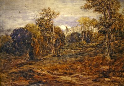 Torre Barden de David Cox