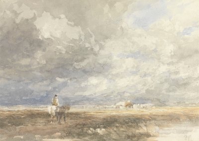 Ir para o Hayfield de David Cox