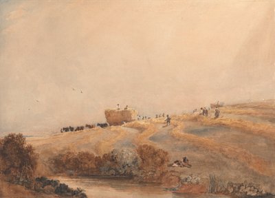 Produção de feno de David Cox