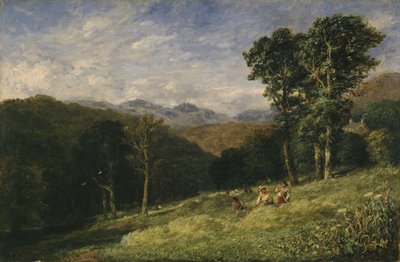 Fenação perto de Conway de David Cox