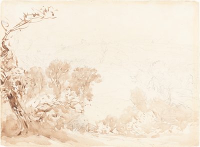 Encosta e árvores de David Cox