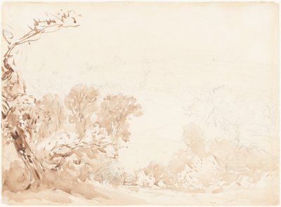 Encosta e árvores de David Cox