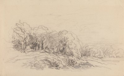 Paisagem com Árvores de David Cox
