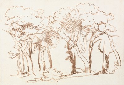 Estudo das árvores de David Cox