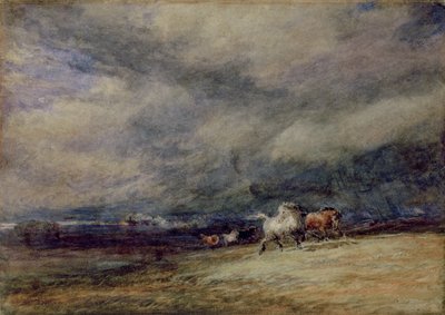O Trem da Noite de David Cox