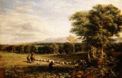 O Vale de Clwyd de David Cox