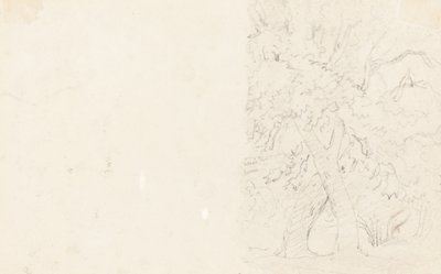 Árvores [verso] de David Cox