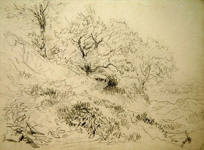 Welsh Landscape (giz sobre papel) de David Cox