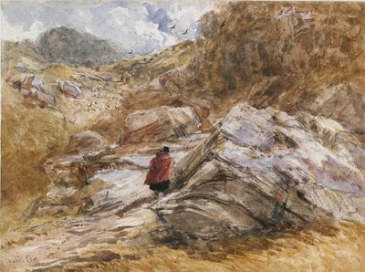 Mountain Pass em Bettws-y-Coed, 1851 de David Cox the elder