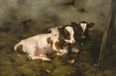 Vitelos, c.1900 (óleo sobre tela) de David Gauld