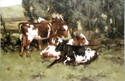 Três Vitelos, c.1920 (óleo sobre tela) de David Gould