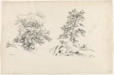 Castanha e pinho, 1869. de David Johnson