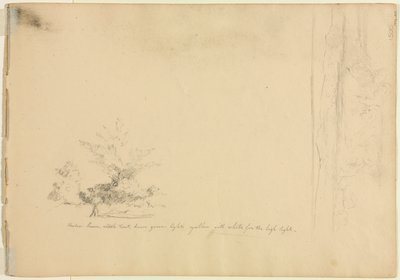 Estudos paisagísticos e arbóreos (verso) de David Johnson