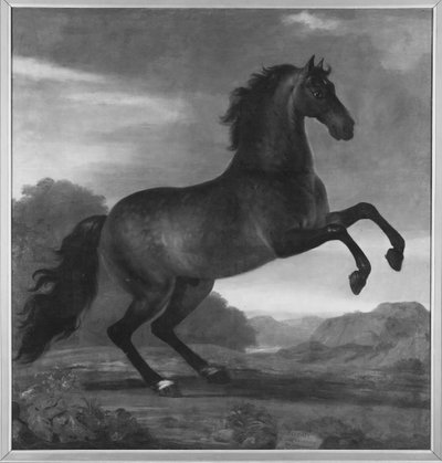 O cavalo de guerra de Carlos XI, Favorit Hispanicus de David Klöcker Ehrenstrahl