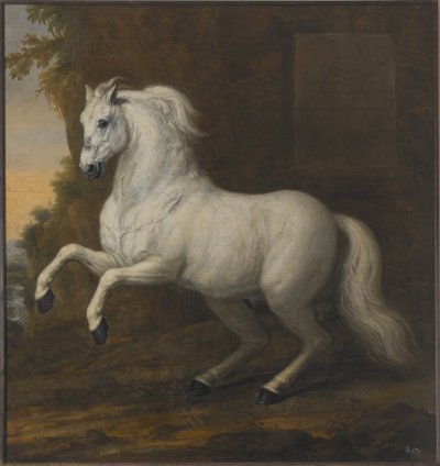 O cavalo de estimação de Carlos XI – Em resumo de David Klöcker Ehrenstrahl