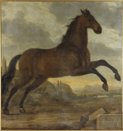 O cavalo de parada de Carlos XI, Sultan de David Klöcker Ehrenstrahl