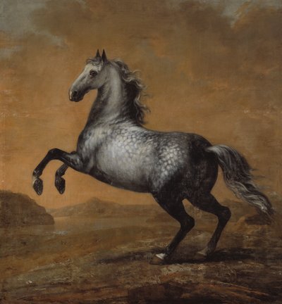 O Pequeno Inglês, O Cavalo do Rei Karl XI (1655-97) de David Klöcker Ehrenstrahl