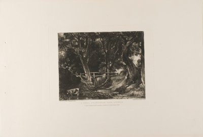 A Dell, Helmingham Park, Suffolk de David Lucas