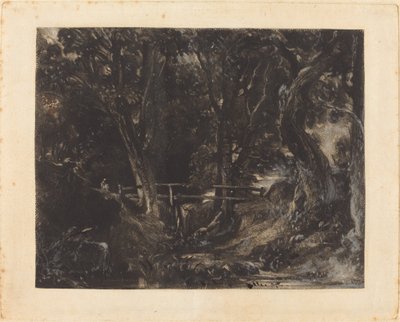 Um Dell em Helmingham Park, Suffolk de David Lucas after John Constable