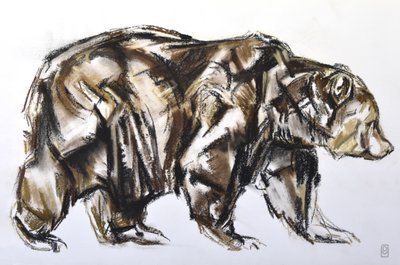 Urso pardo andando, 2012 (Pastel/Conte no papel) de David Mayer