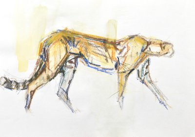 Cheetah, 2020 (crayon e aquarela sobre papel) de David Mayer