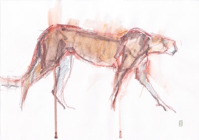 Caça às chitas, 2019 (crayon/watercolour sobre papel) de David Mayer