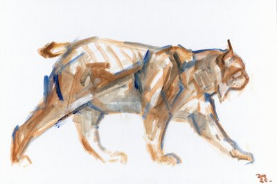 Lynx, 2022 (painel a óleo sobre tela) de David Mayer