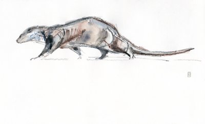 Otter running, 2022 (aquarela/crayon sobre papel) de David Mayer