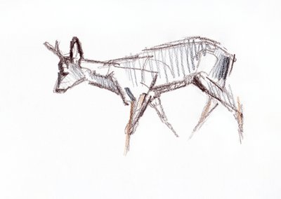 Roe Buck, 2021 de David Mayer
