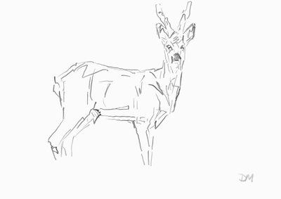 Roe Buck, 2024 (tinta com caneta de cana de bambu sobre papel) de David Mayer