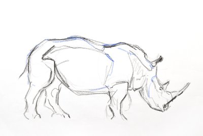 White Rhino, 2021 (lápis de cera e aguarela sobre papel) de David Mayer