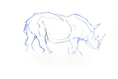 Rinoceronte Branco, 2020 (crayon no papel) de David Mayer
