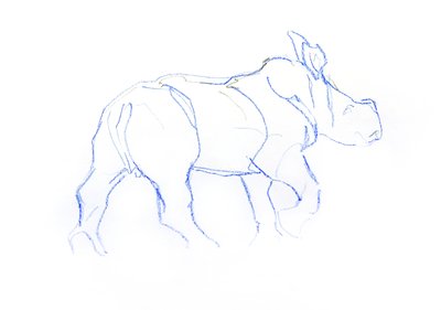 Bezerro rinoceronte branco, 2020 (crayon no papel) de David Mayer