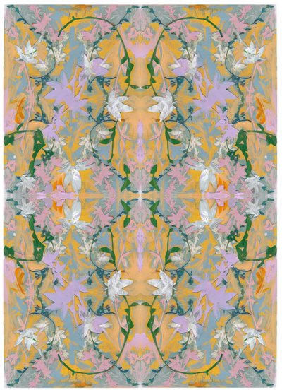 Colagem Botânica # 4, 2017 de David McConochie