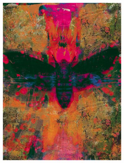 Colagem Traça da Morte, 2016 (Colagem sobre Papel) de David McConochie