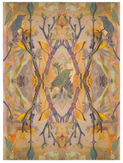 Starlings, 2016, Colagem sobre Papel de David McConochie