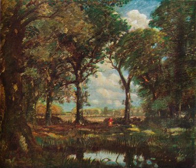 Uma piscina da floresta, c1905 de David Muirhead