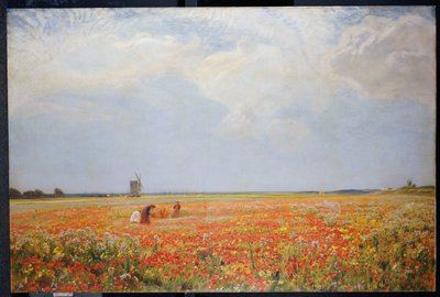 Os Selecionadores de Flores de David Murray