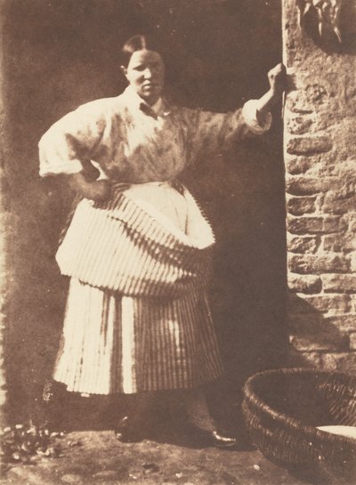 Floresta. de David Octavius Hill, Robert Adamson