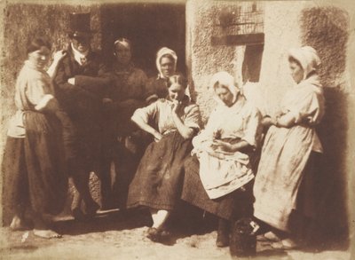 Floresta. de David Octavius Hill, Robert Adamson