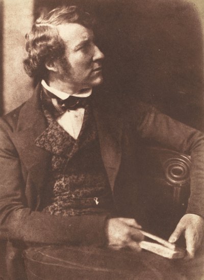 Floresta. de David Octavius Hill, Robert Adamson