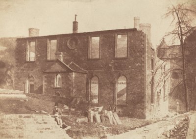 Floresta. de David Octavius Hill, Robert Adamson