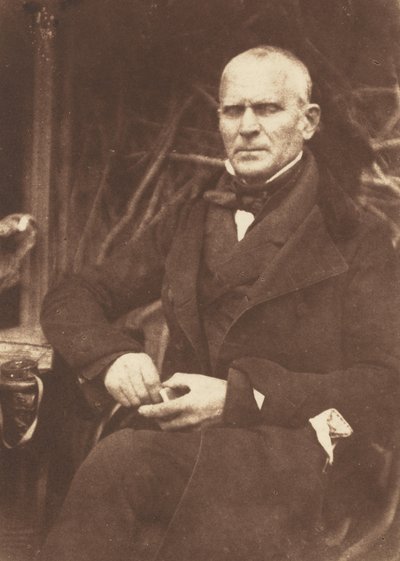 Floresta. de David Octavius Hill, Robert Adamson