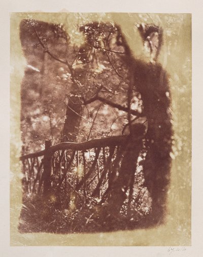 Cerca e árvores em madeira de Colinton (impressão de papel salgado do negativo do calotype) de David Octavius Hill