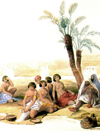 Escravos núbios no Nilo em 1846-1850 (ilustração) de David Roberts