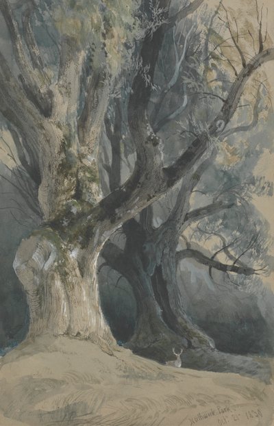 Árvores em Northwick Park de David Roberts