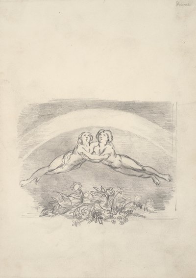 Seis desenhos para Nichol