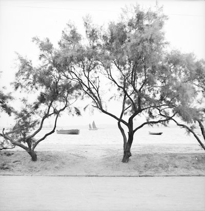 Olhar para o mar a partir do cais de Weihaiwei de David Watkin Waters